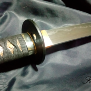 Taller de Temple Diferencial Japones(HA MON) -Nivel 2